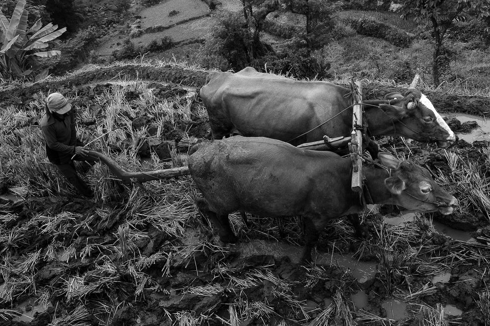 Photograph by Ivu  Fajar Samsumar