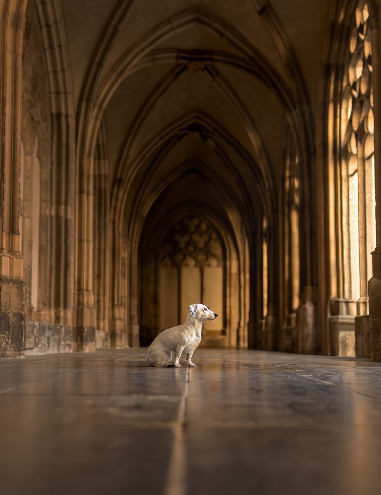 Photograph by Yong Lei van Barlingen