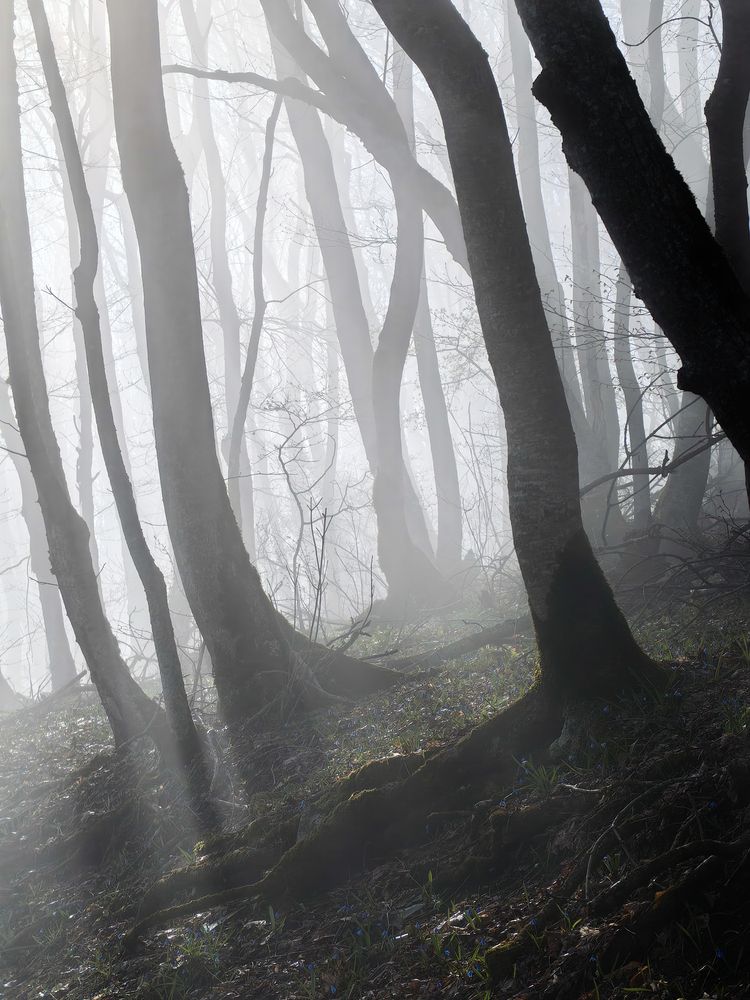 Photograph by Igor M.