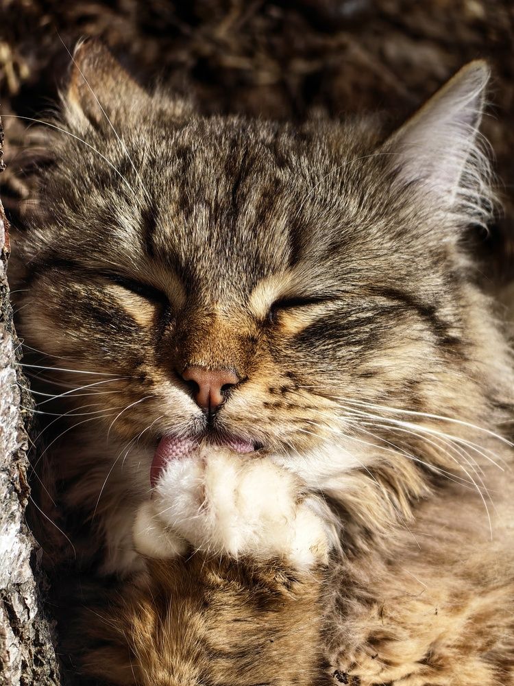 Photograph by Лолита Богачева