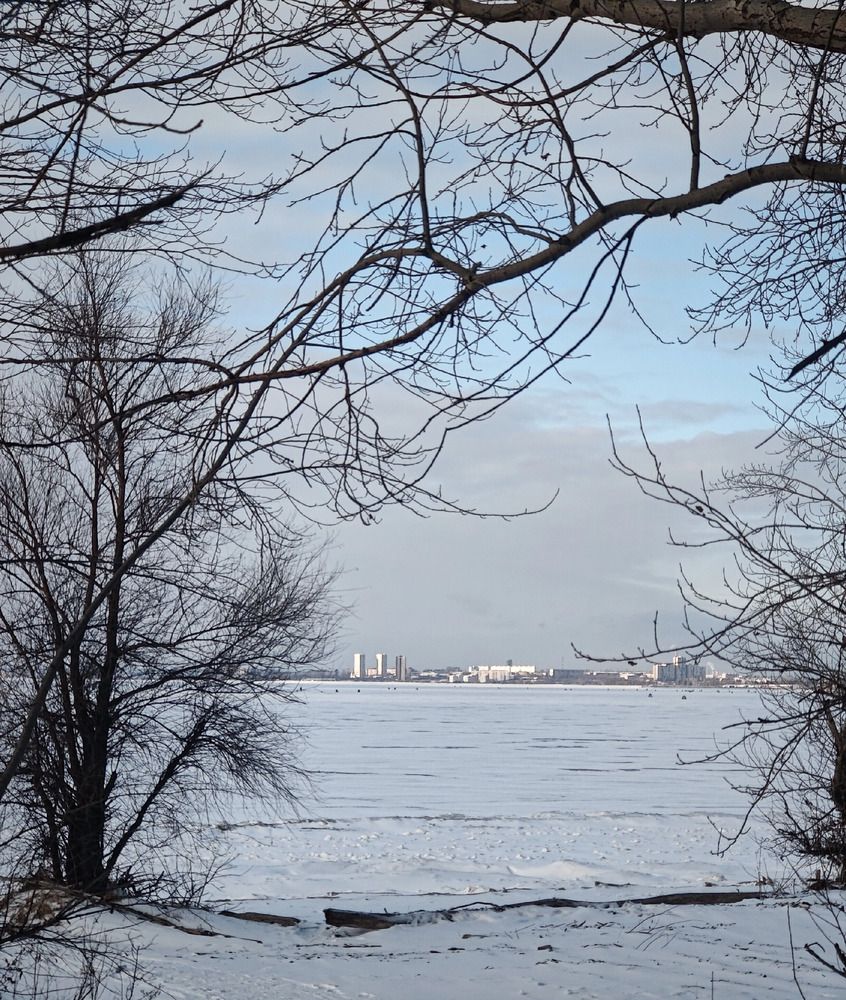 Photograph by Olena Chertous