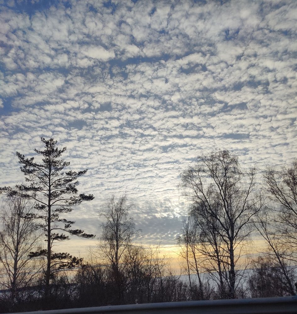 Photograph by Olena Chertous