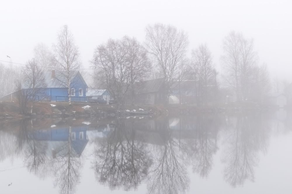 Photograph by Елена Амозова