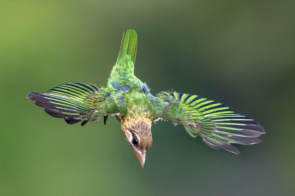Photograph by Mohamed Rafi