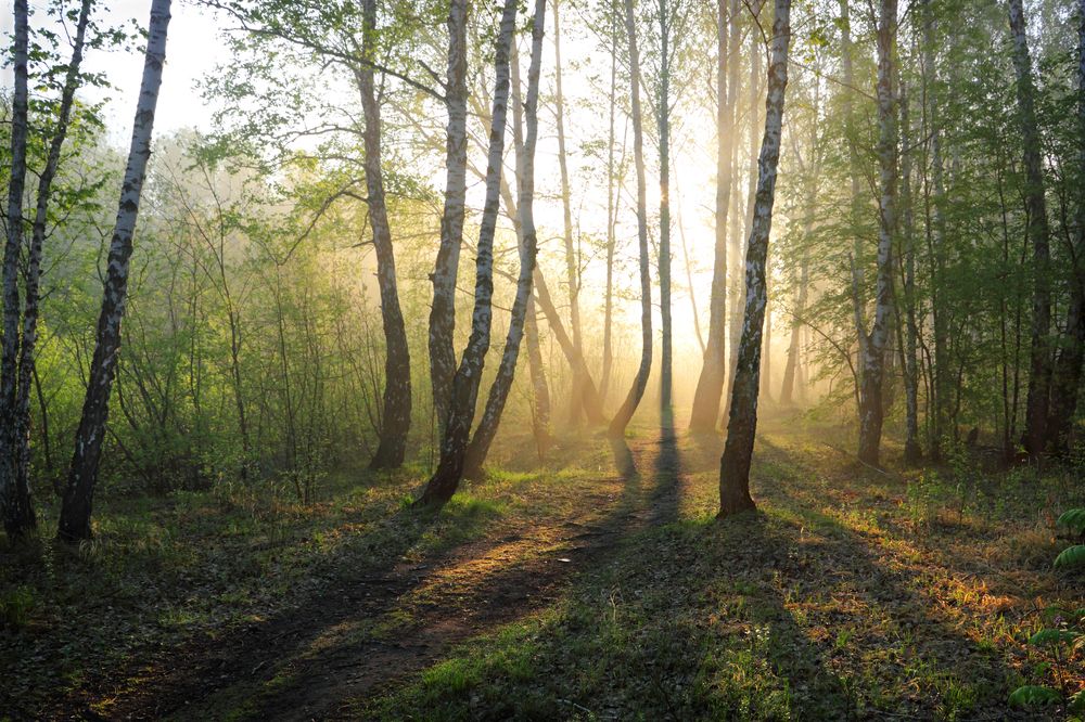 Фотография автора Кухта Мария