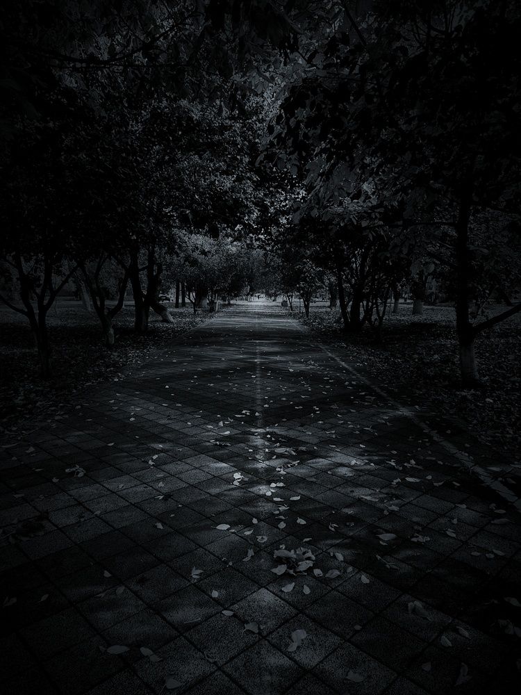 Фотография автора Максим Митченко