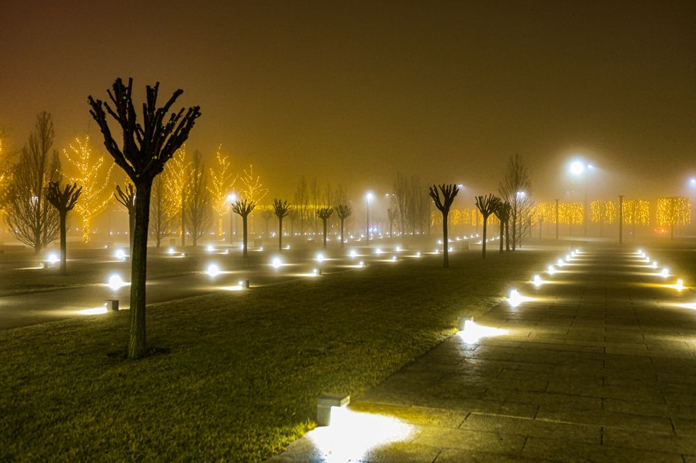 Фотография автора Николай Лысенко