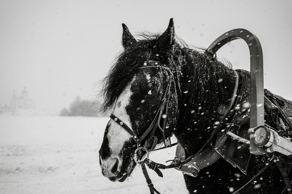 Photograph by Кирилл Соколов