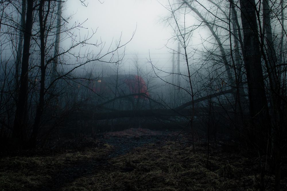 Photograph by Мария Крюкова