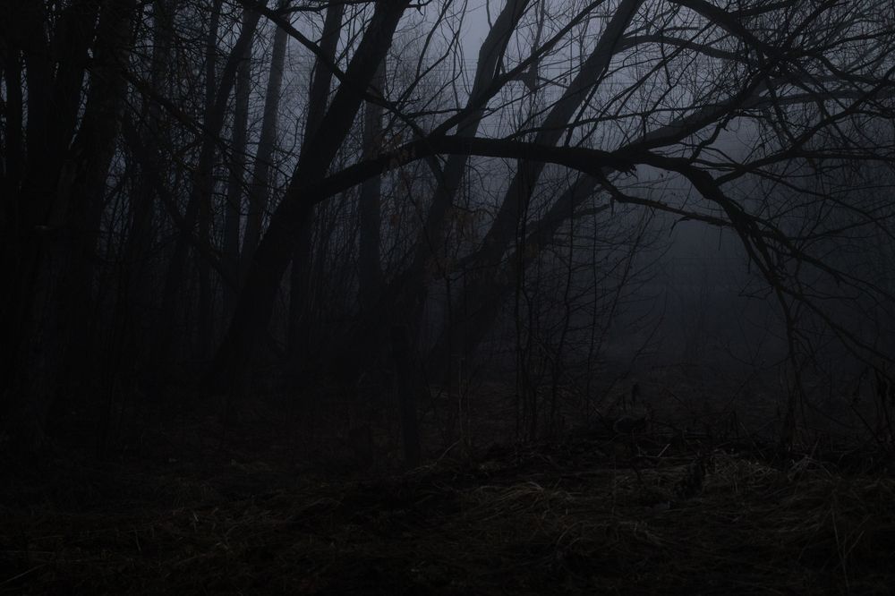 Photograph by Мария Крюкова