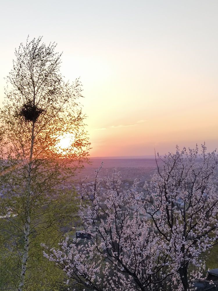 Photograph by Ольга Чернова