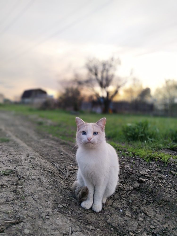 Photograph by Ольга Чернова