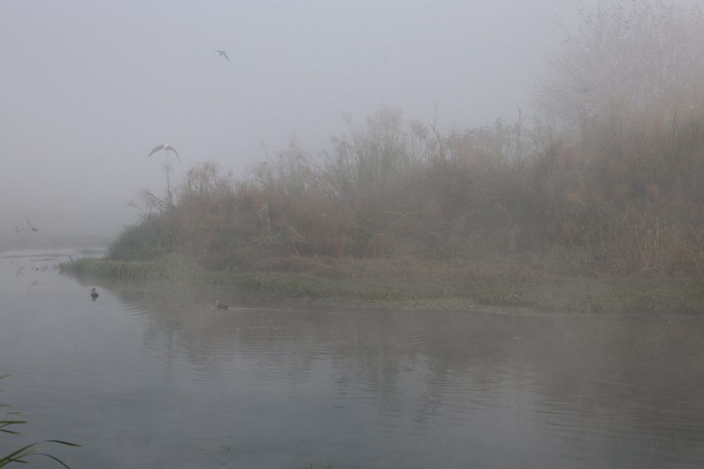 Photograph by G GOVIL