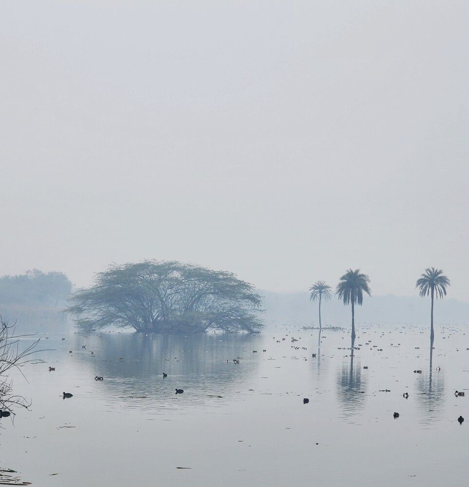 Photograph by G GOVIL