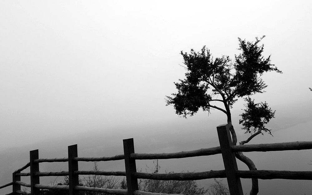 Photograph by G GOVIL