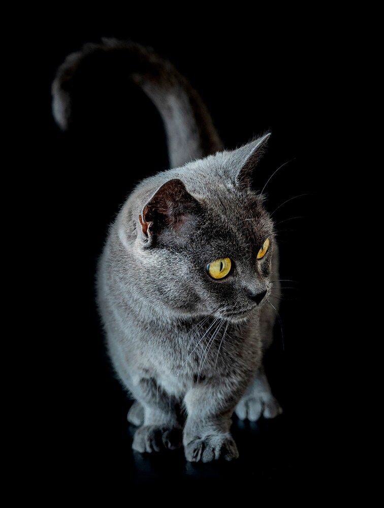 Photograph by Юлия Сидорова