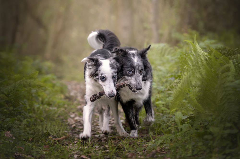 Photograph by Leticia Hernandez