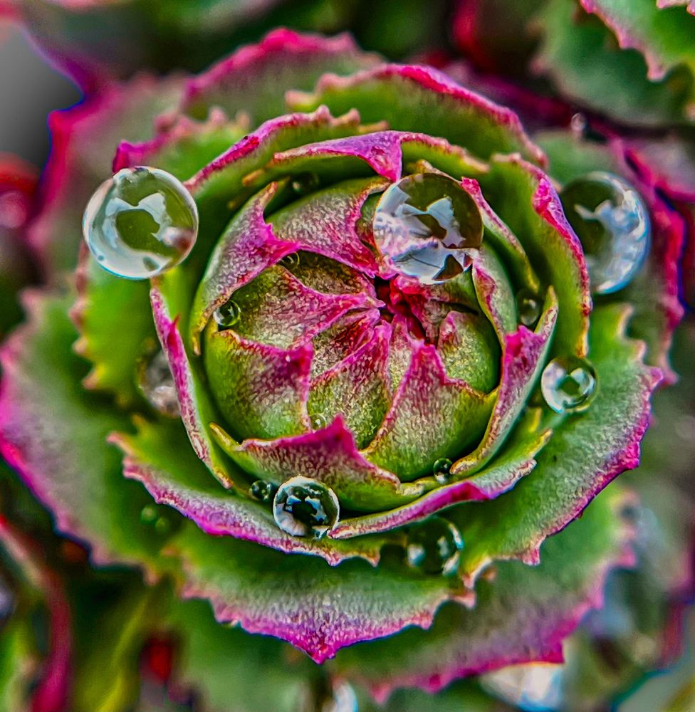 Photograph by Татьяна Михайловна