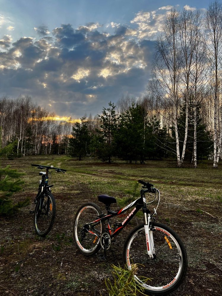 Photograph by Татьяна Михайловна