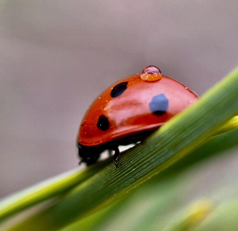 Photograph by Татьяна Михайловна