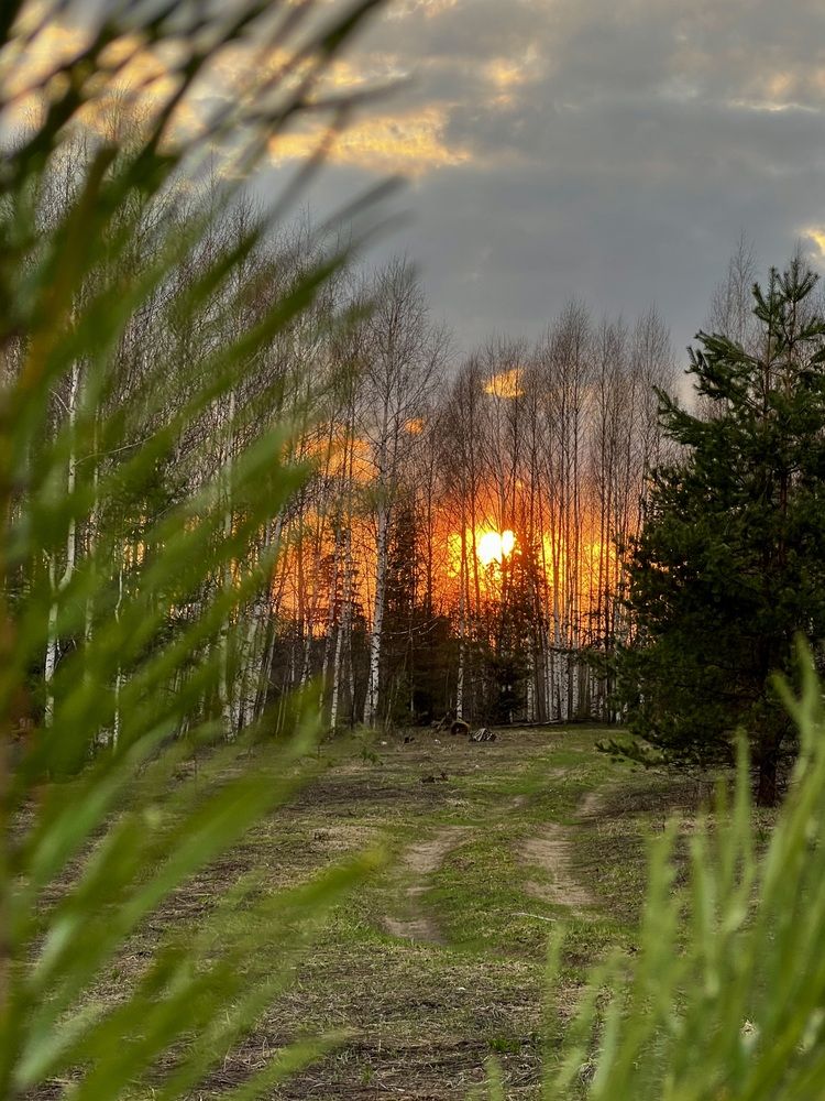 Photograph by Татьяна Михайловна