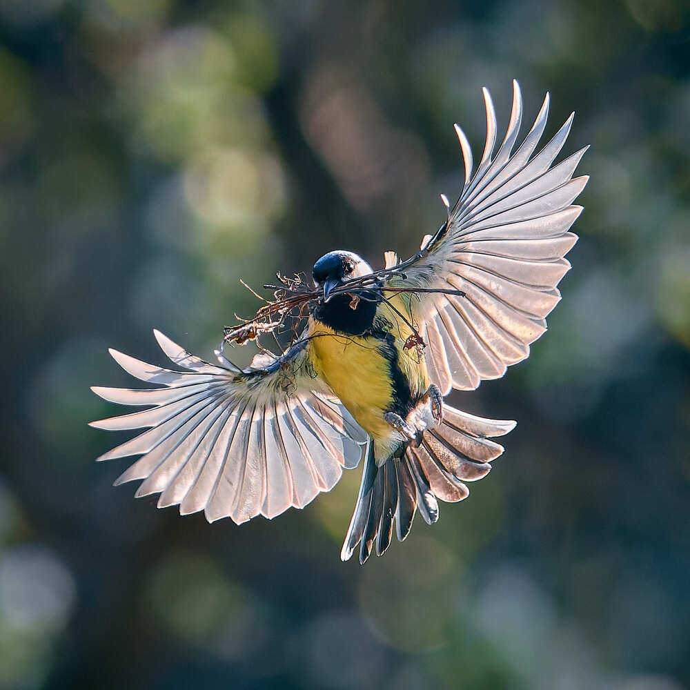 Photograph by Mikhail Khmelevskiy