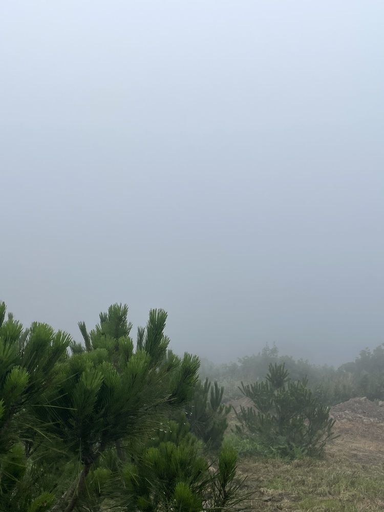 Photograph by Ольга Дорошенко