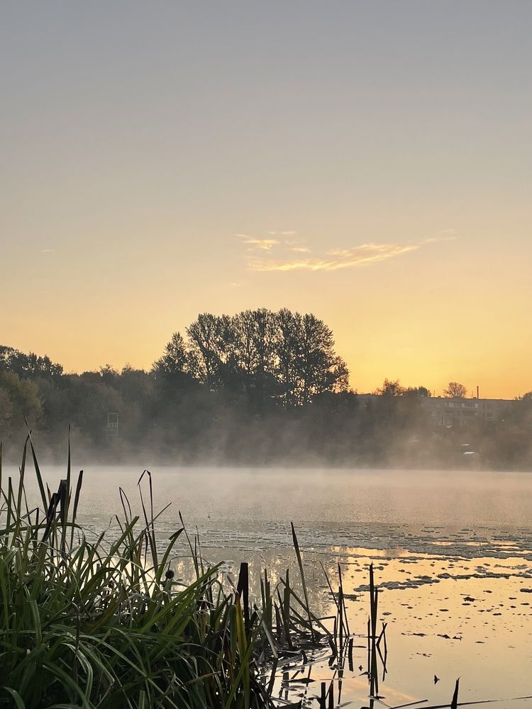 Photograph by Ольга Дорошенко