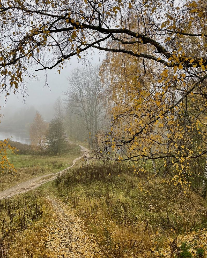 Photograph by Ольга Дорошенко