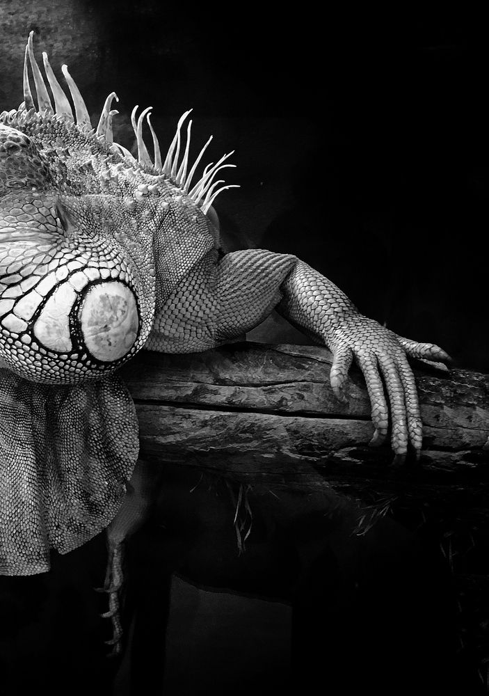 Photograph by Шестакова Елена