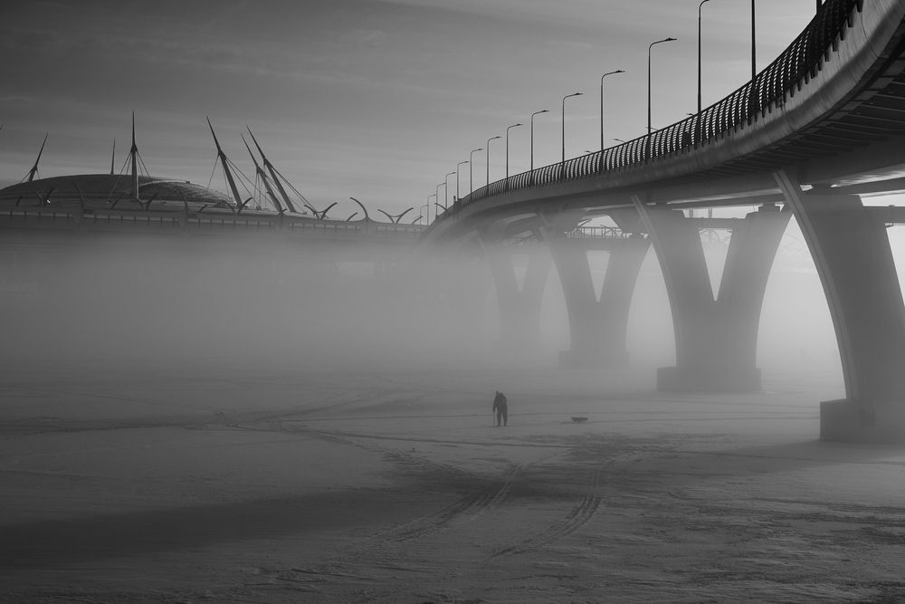 На зимней зорьке