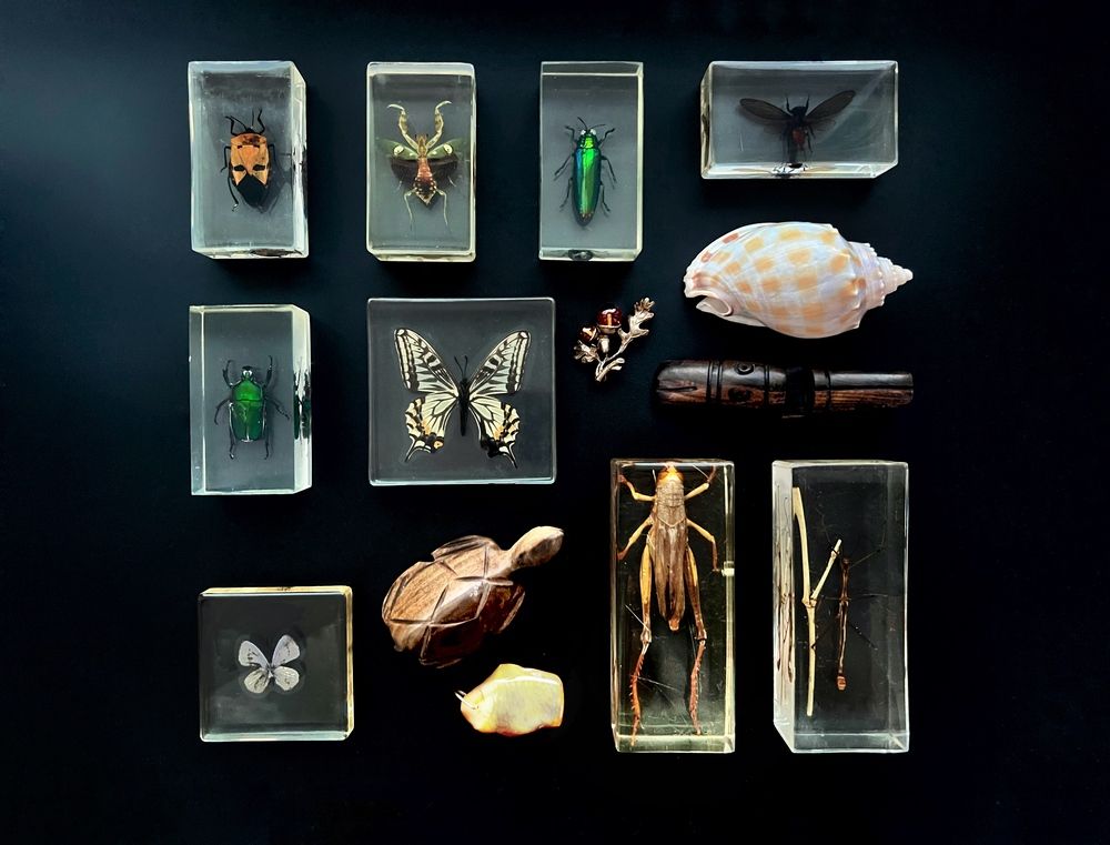 Photograph by Шестакова Елена