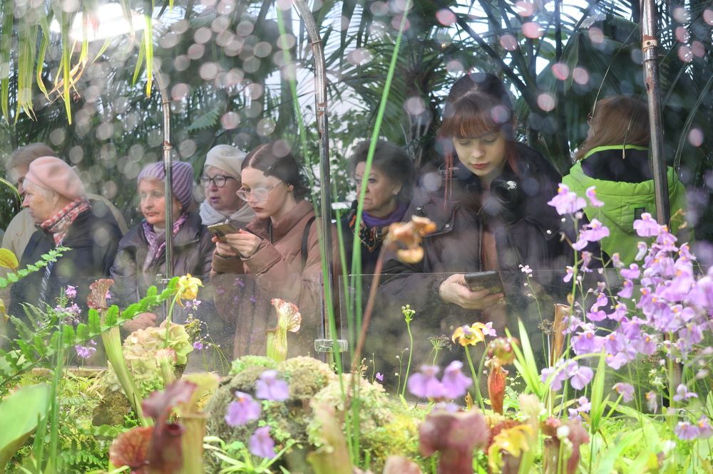 Photograph by Гагик Саркисян