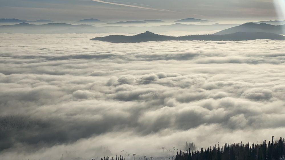 Фотография автора Дмитрий Постельный