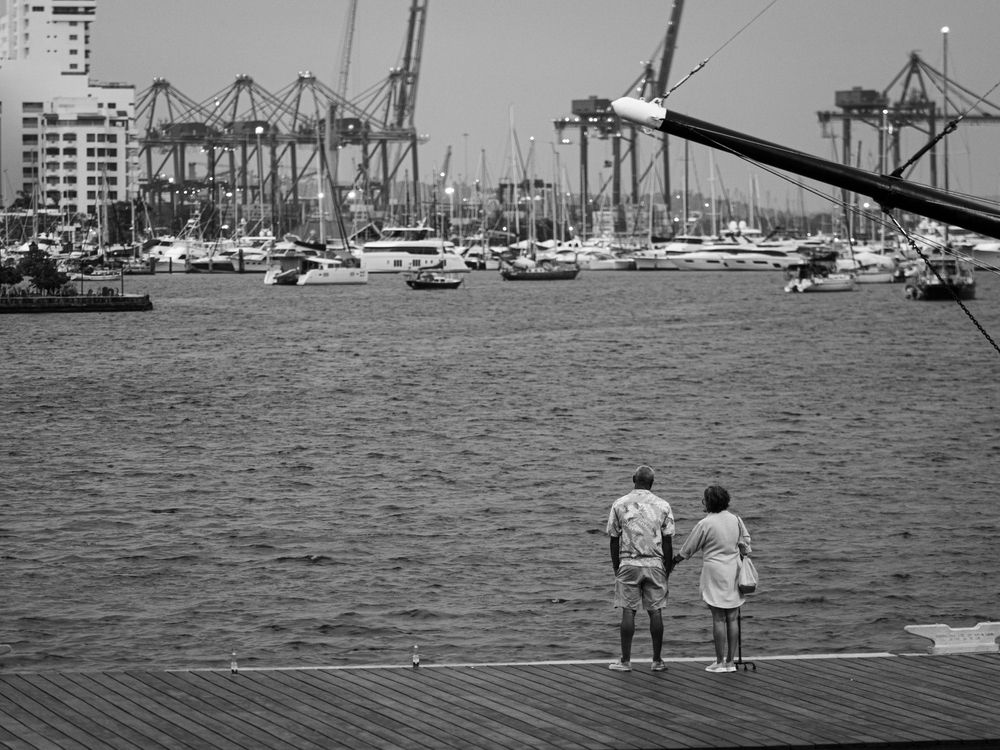 Фотография автора Camilo Rojas