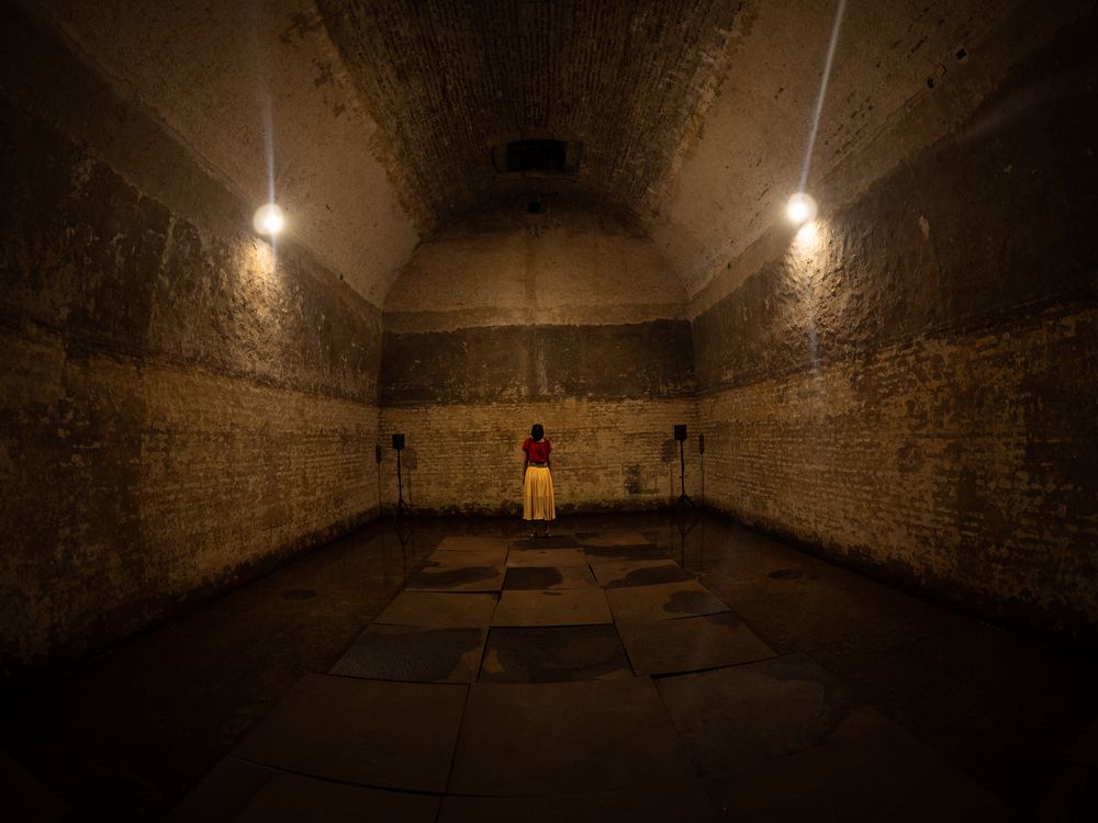 Фотография автора Camilo Rojas