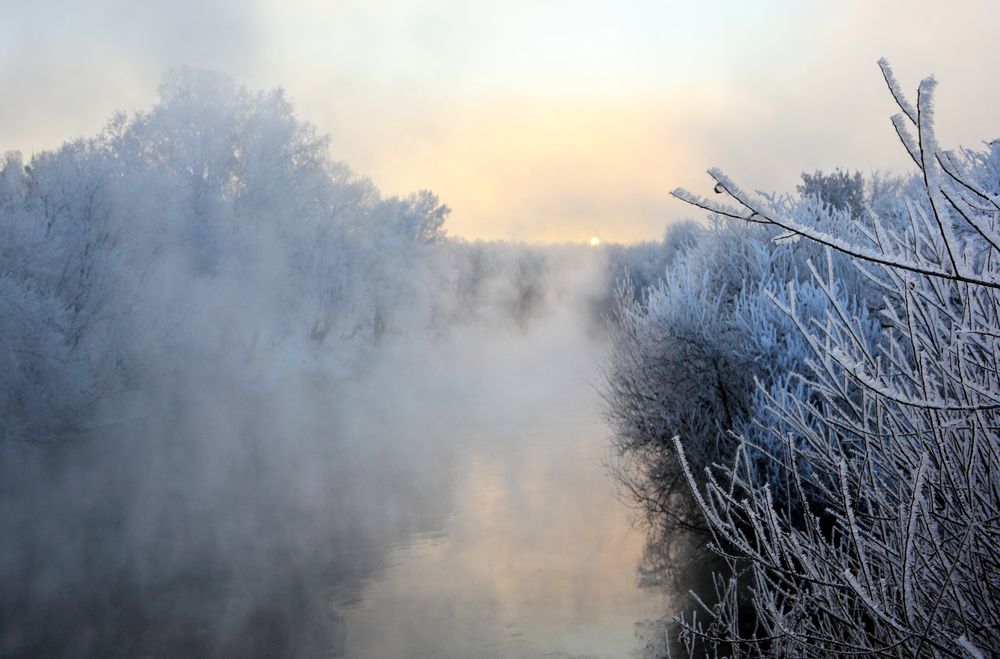Фотография автора Кухта Мария