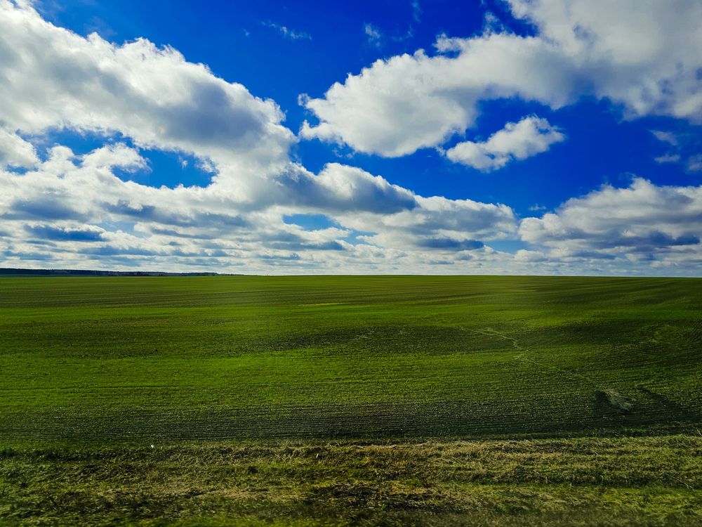 Фотография автора Gosha Barmaleykin