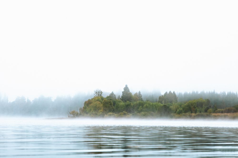 Photograph by Леонтьева Татьяна