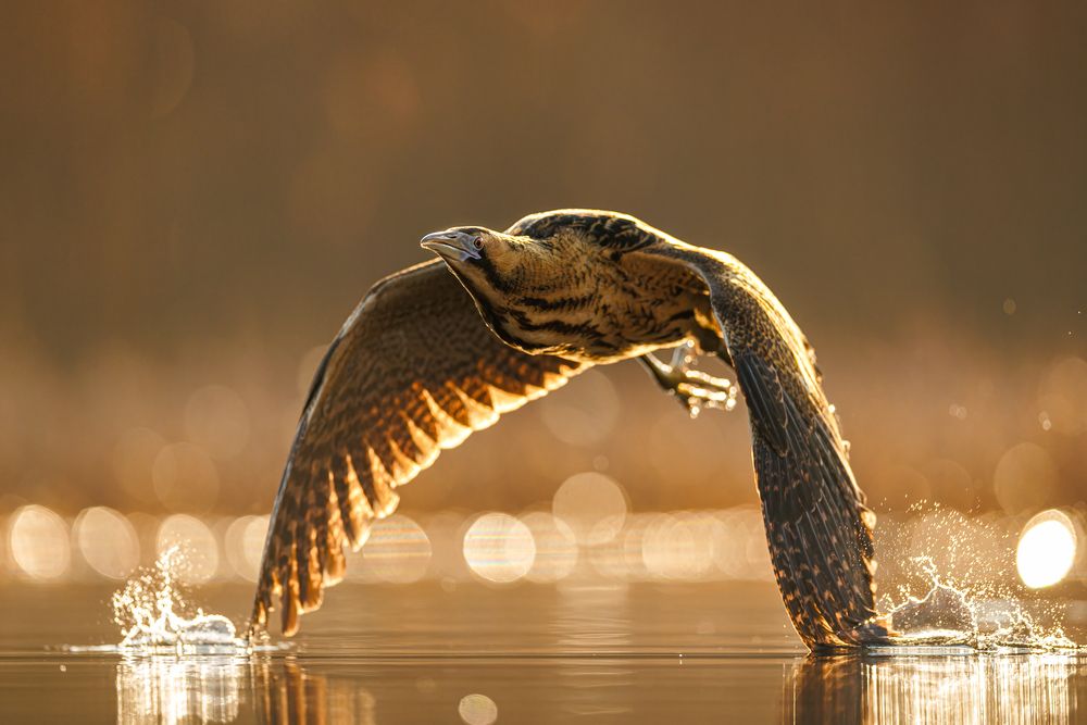 Photograph by Patryk Kurc