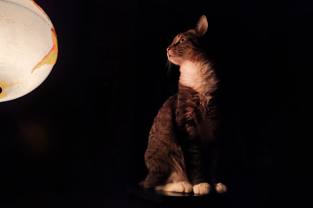 Photograph by Екатерина Каптелина