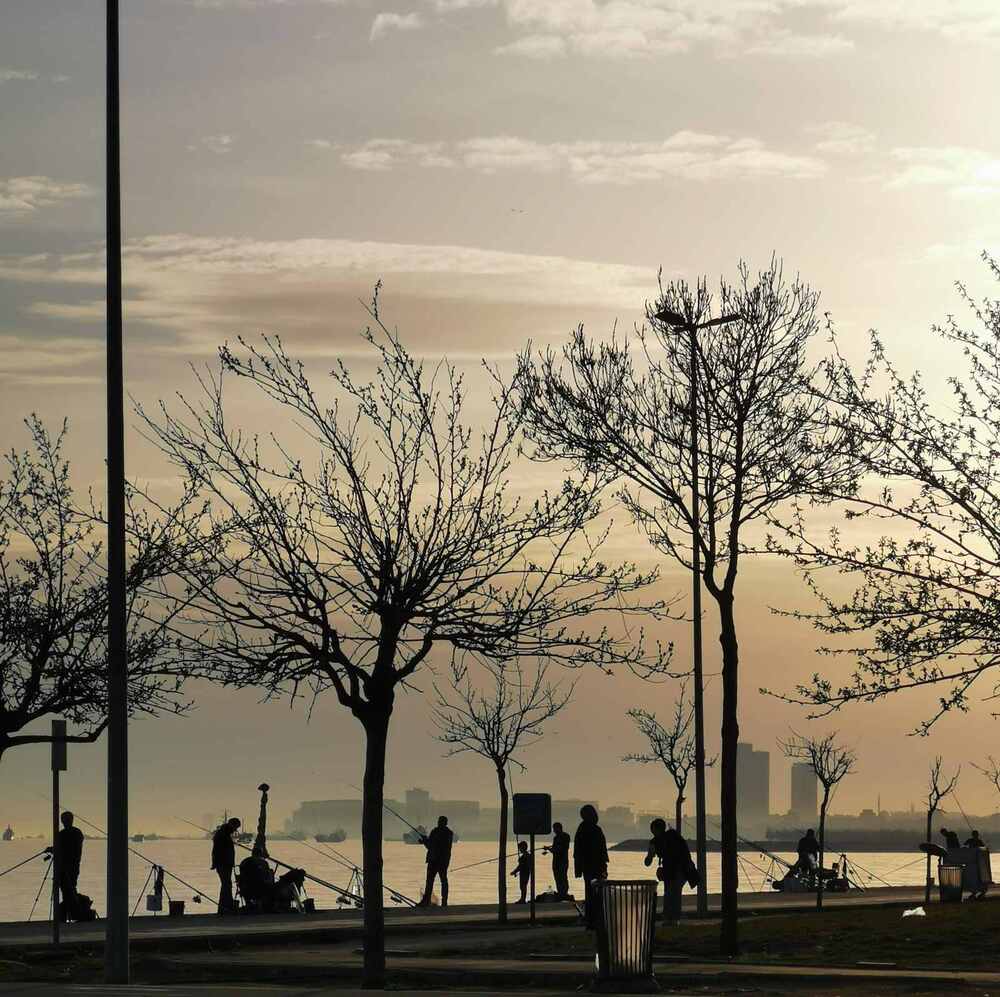 Photograph by Янина Найденцева