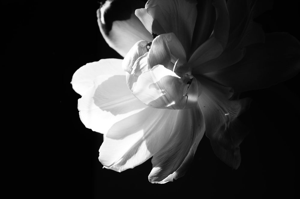 Photograph by Heini Tikkanen