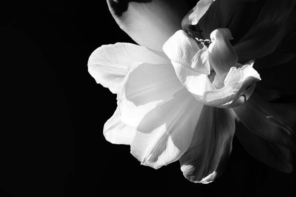 Photograph by Heini Tikkanen