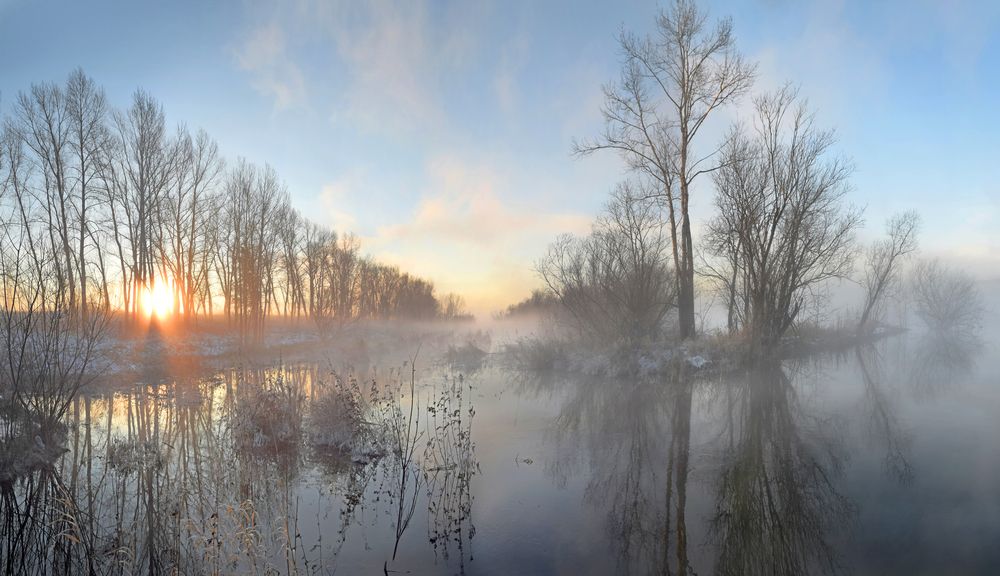 Photograph by Крат Светлана