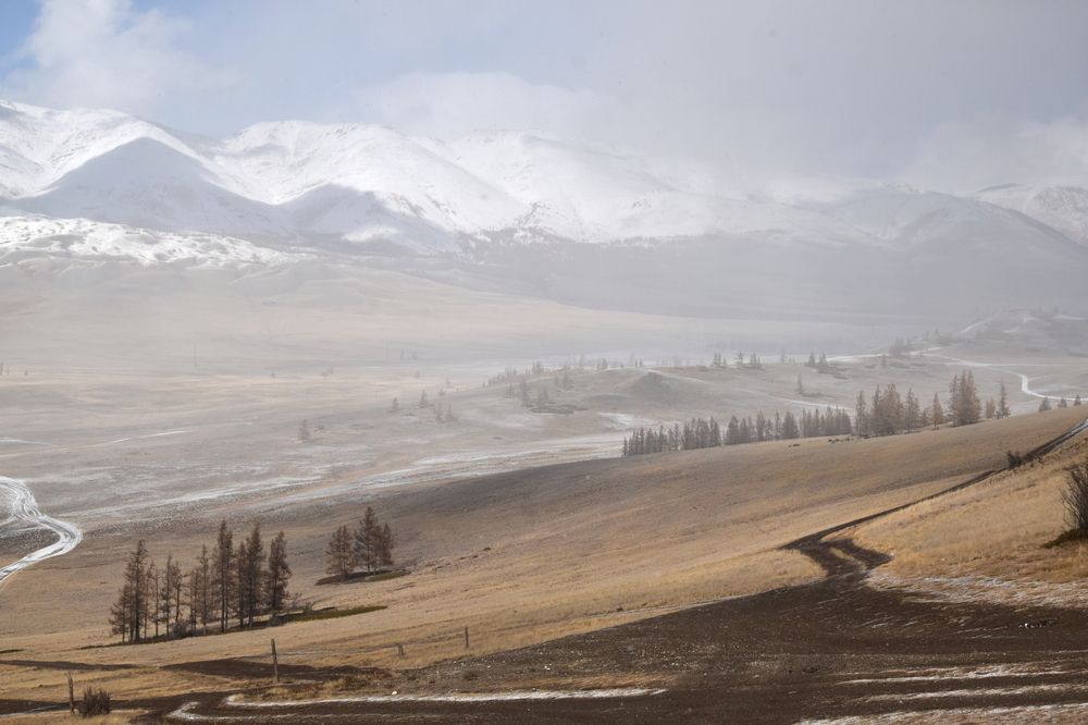 Photograph by Крат Светлана