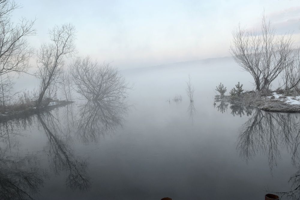 Photograph by Крат Светлана