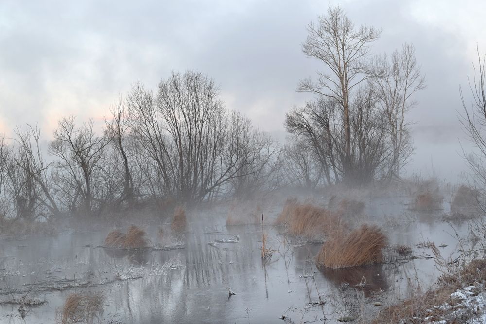 Photograph by Крат Светлана