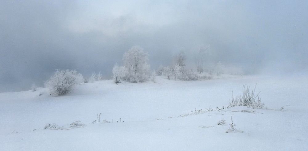 Photograph by Крат Светлана