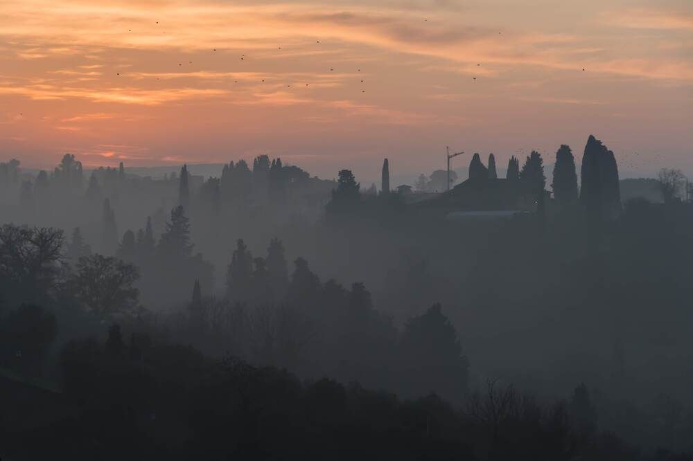 Photograph by Татьяна